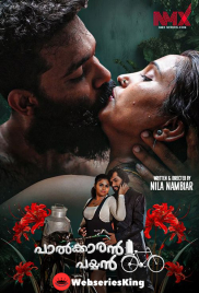 Palkaran Payyan (E01) NMX Hot Web Series (2025)