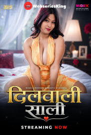 Dilwali Saali (E01) MoodX Hot Web Series (2026)