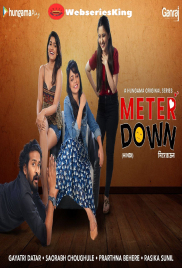 Meter Down Hungama Complete Hot Web Series (2025)