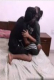 Desi CPL Hardcore Romance Private App Hot Video
